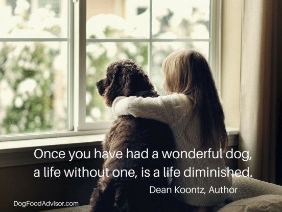 a life without - quote